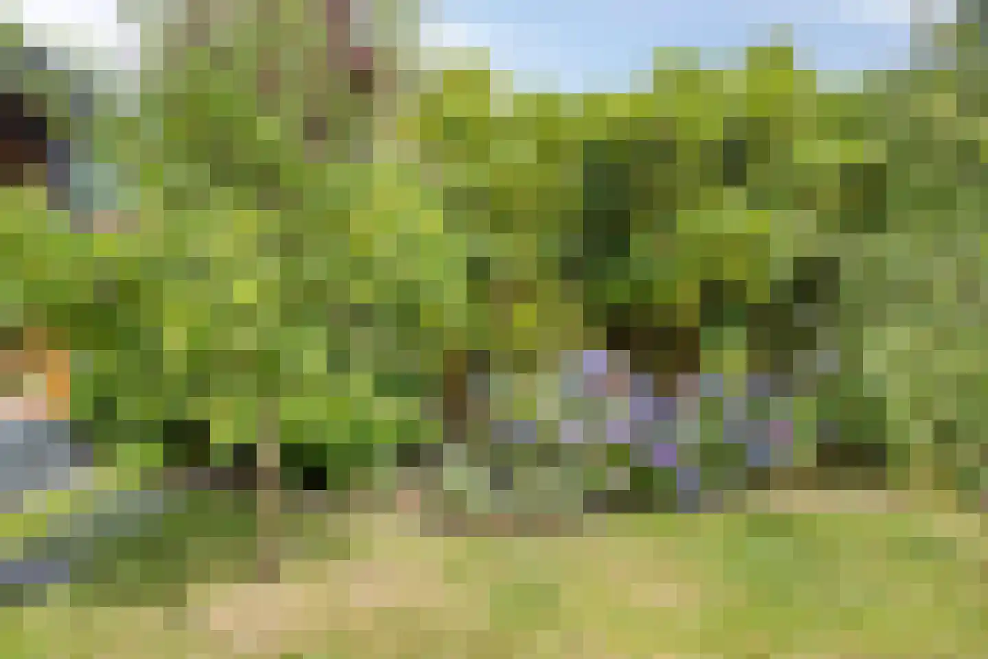 Bentinckslaan 129 Hoogeveen thumbnail 56