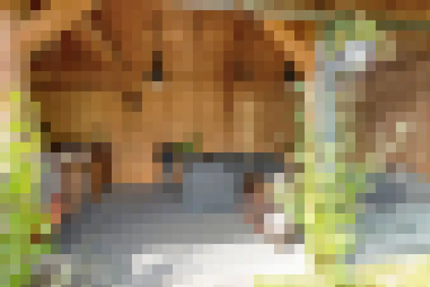 Bentinckslaan 129 Hoogeveen thumbnail 57
