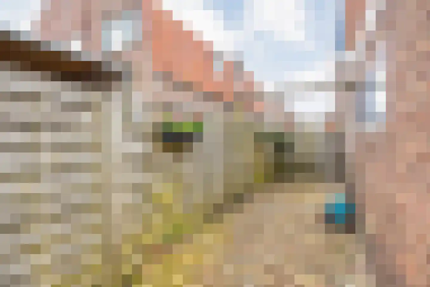 Bentinckslaan 137 Hoogeveen thumbnail 38