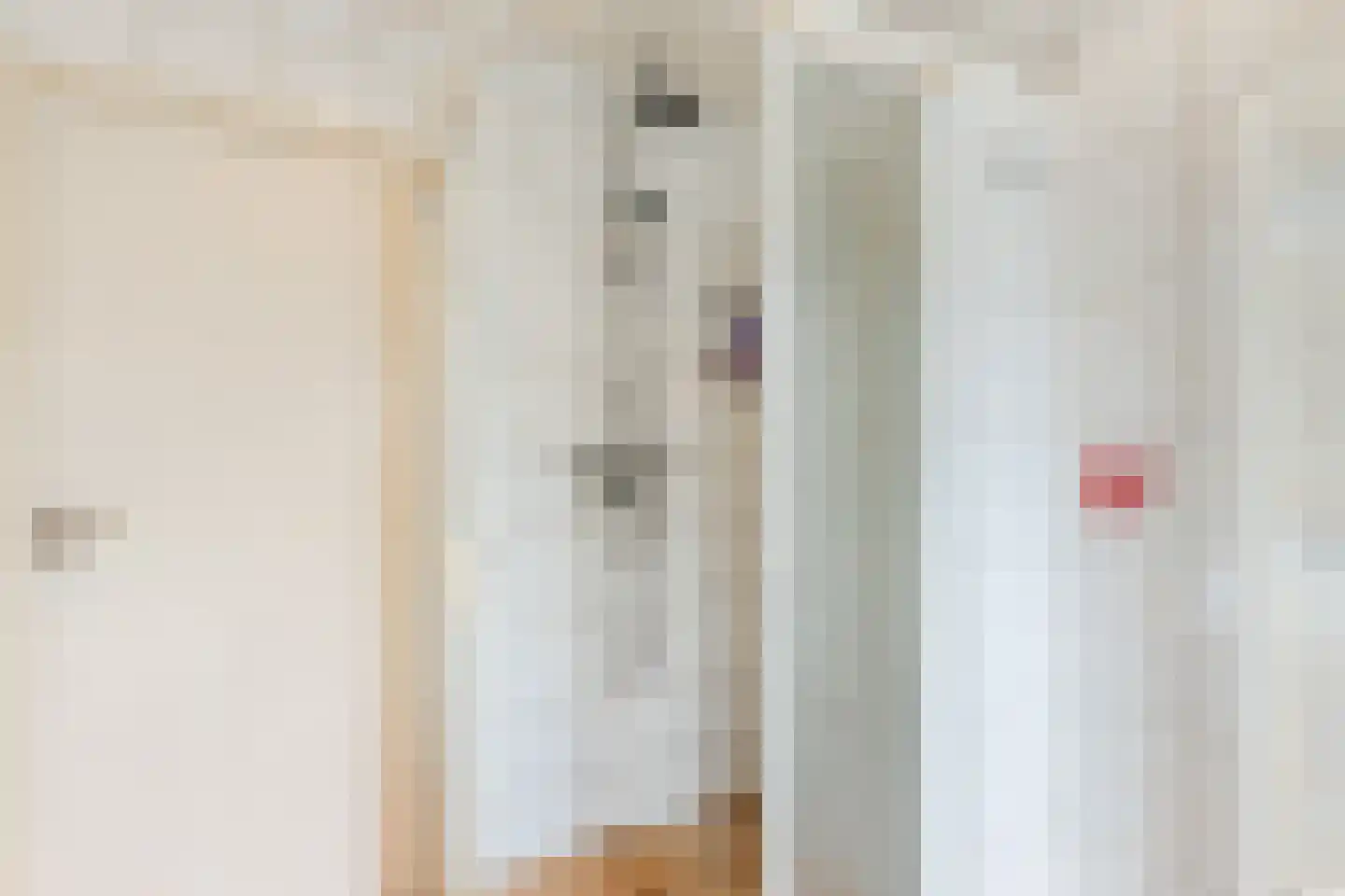 Bentinckslaan 41 Hoogeveen thumbnail 32
