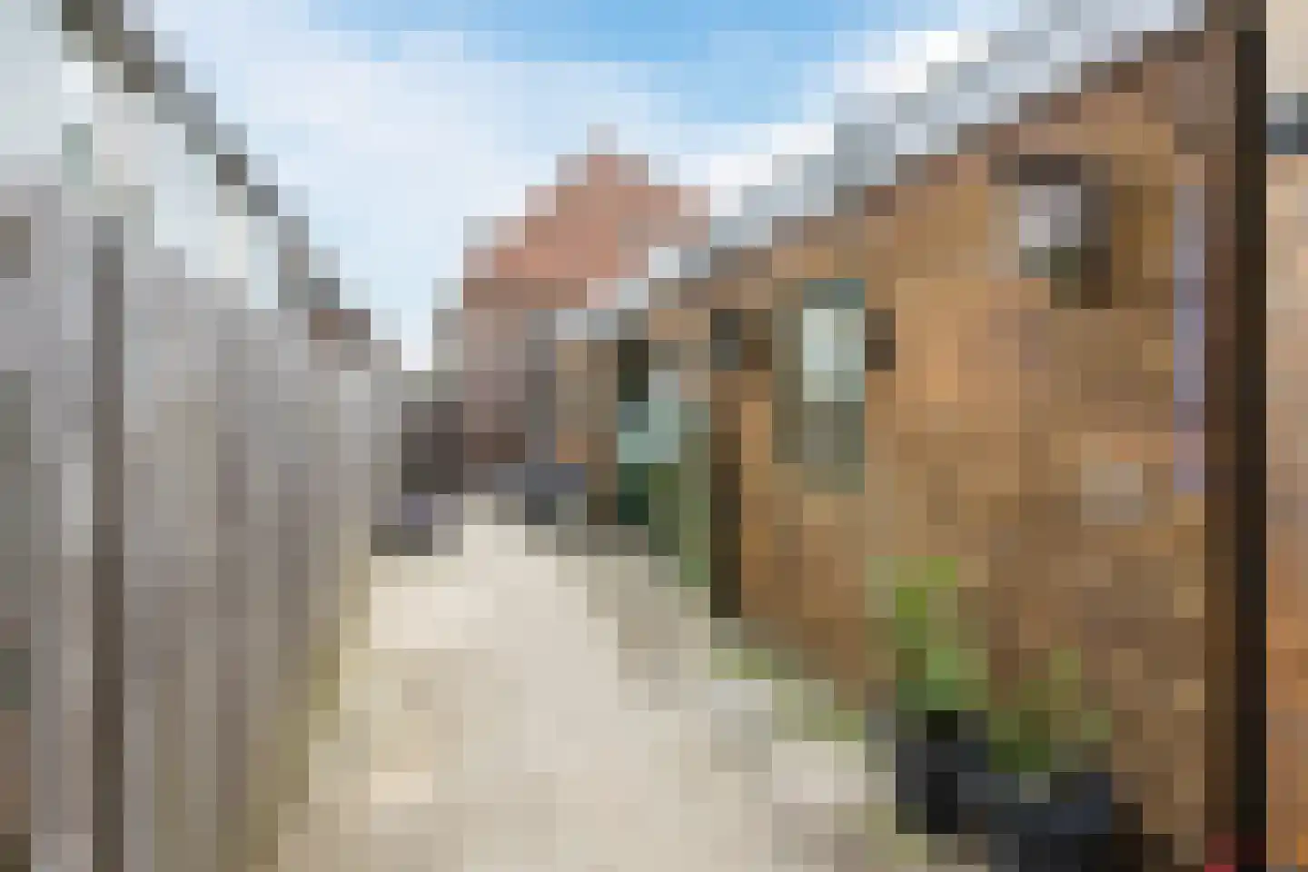 Bentinckslaan 41 Hoogeveen thumbnail 39