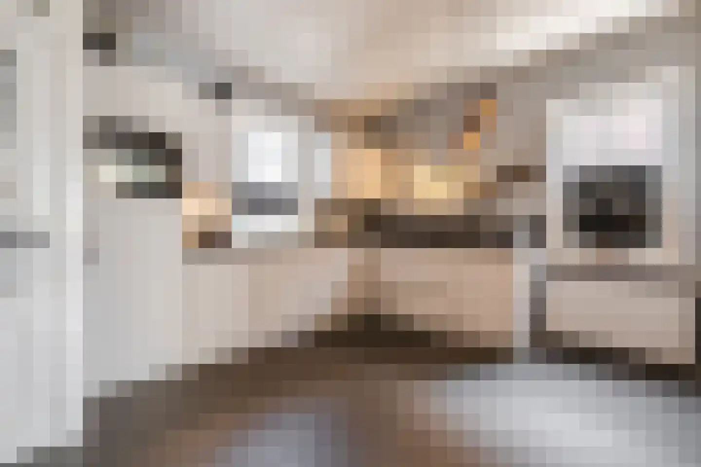 Bentinckslaan 41 Hoogeveen thumbnail 4