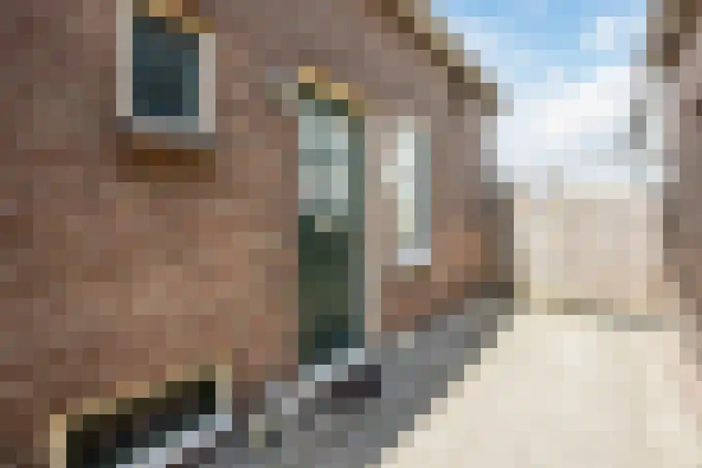 Bentinckslaan 41 Hoogeveen thumbnail 7