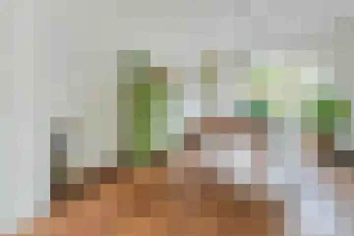 Bentinckslaan 73 b Hoogeveen thumbnail 19