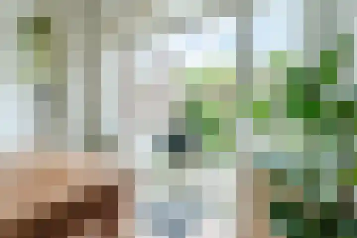 Bentinckslaan 73 b Hoogeveen thumbnail 21