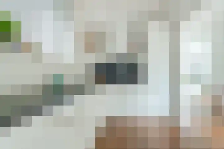 Bentinckslaan 73 b Hoogeveen thumbnail 24