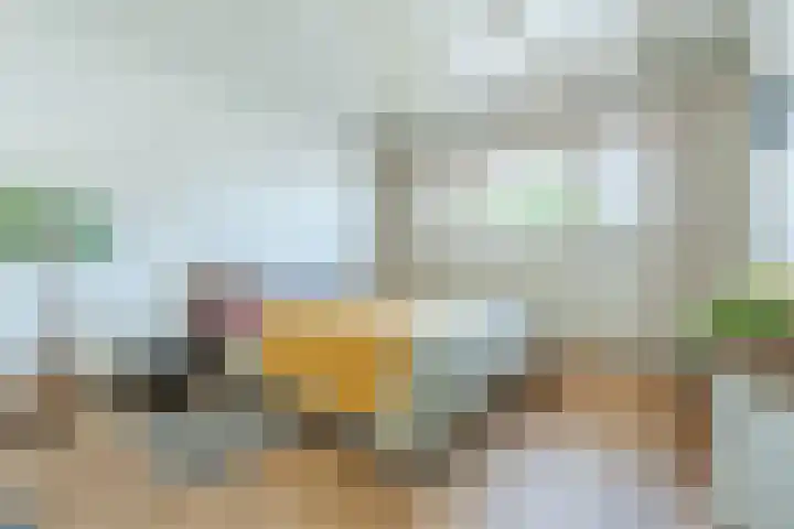 Bentinckslaan 73 b Hoogeveen thumbnail 32