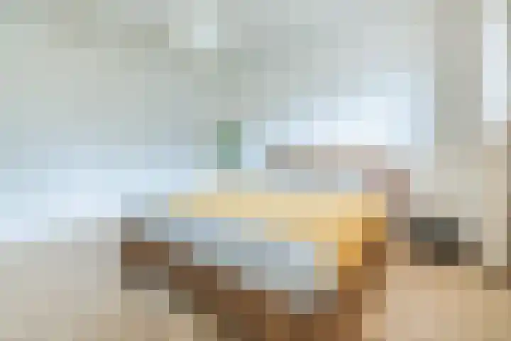 Bentinckslaan 73 b Hoogeveen thumbnail 33