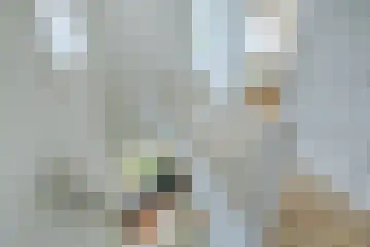 Bentinckslaan 73 b Hoogeveen thumbnail 36