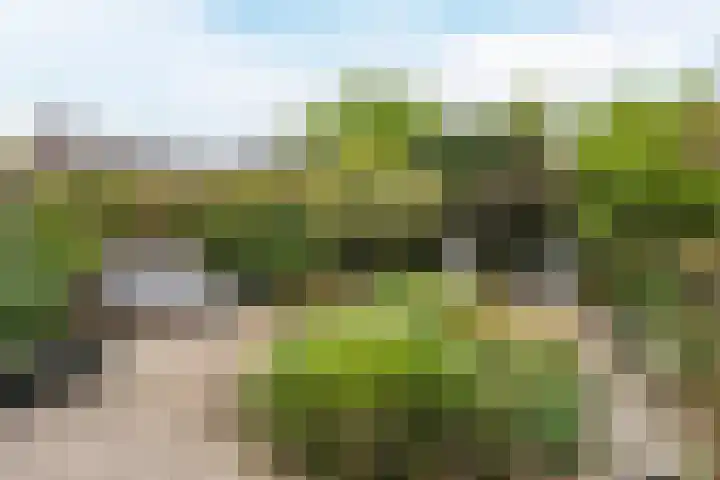Bentinckslaan 73 b Hoogeveen thumbnail 41