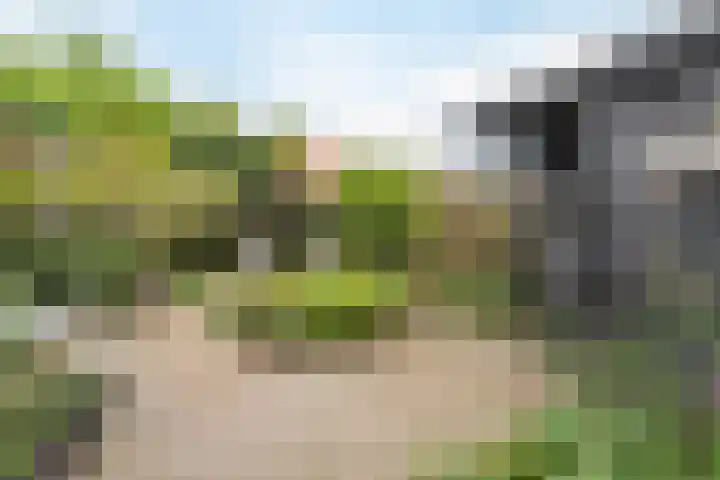 Bentinckslaan 73 b Hoogeveen thumbnail 42