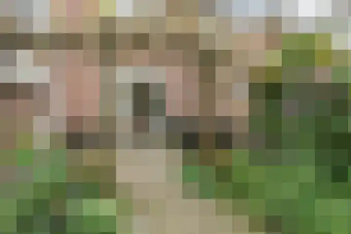 Bentinckslaan 73 b Hoogeveen thumbnail 43