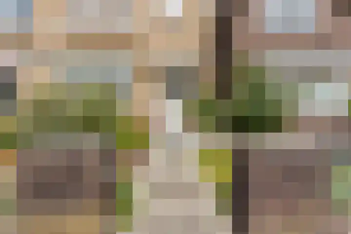 Bentinckslaan 73 b Hoogeveen thumbnail 6