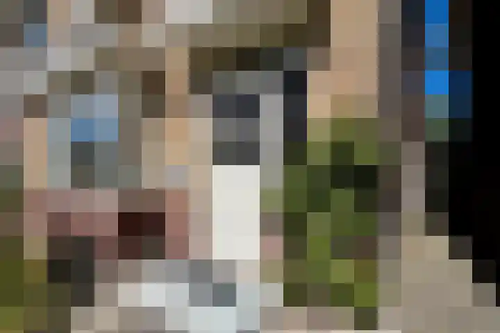 Bentinckslaan 73 b Hoogeveen thumbnail 7