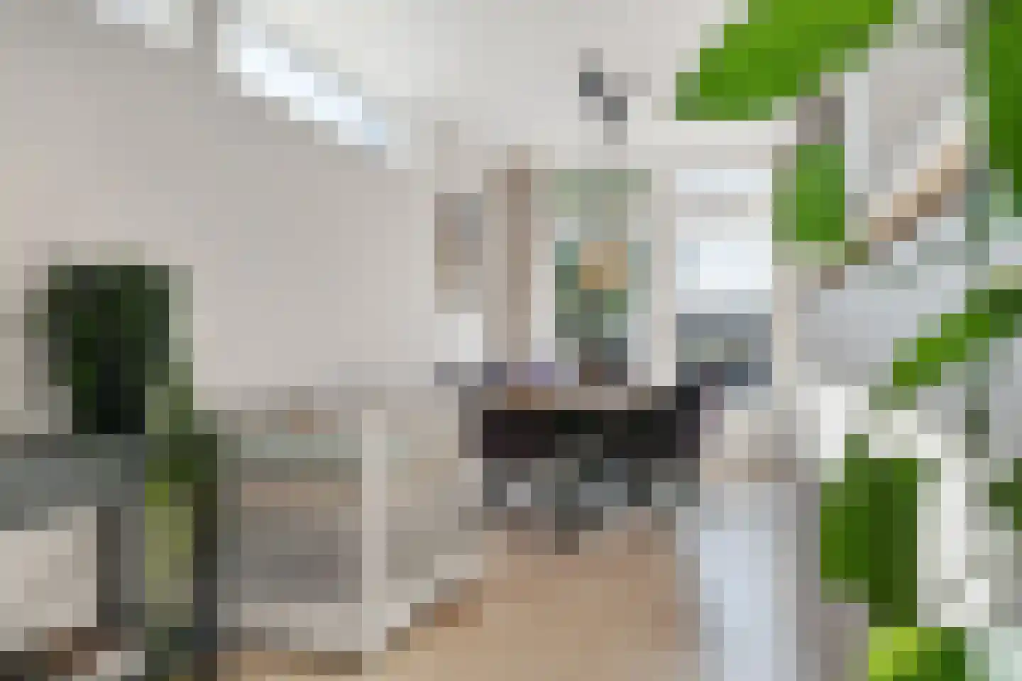 Bentinckslaan 8 Hoogeveen thumbnail 15