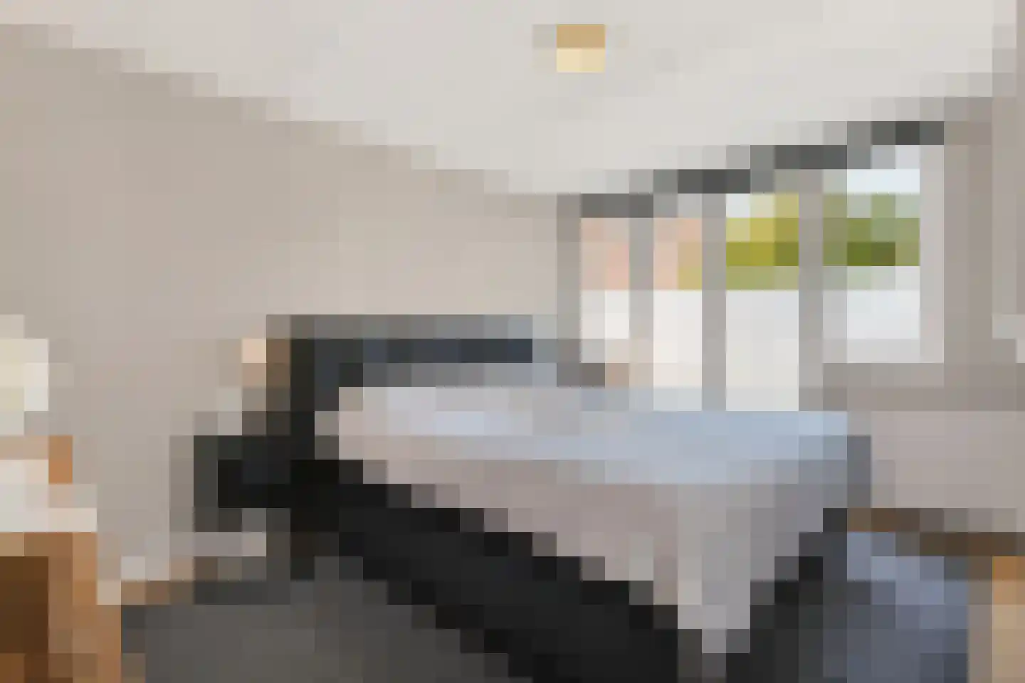 Bentinckslaan 8 Hoogeveen thumbnail 21