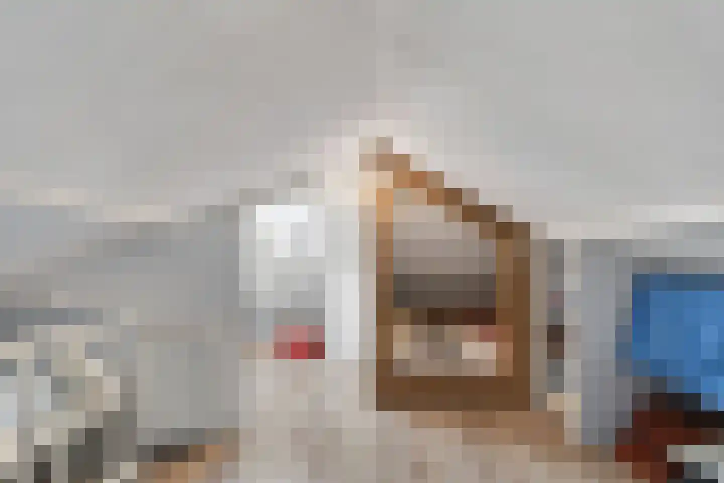 Bentinckslaan 8 Hoogeveen thumbnail 32