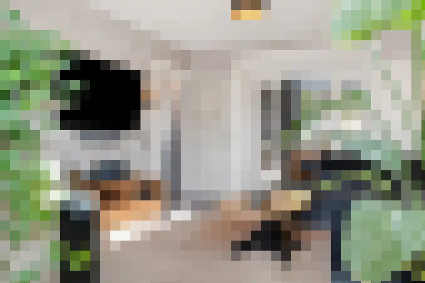 Bentinckslaan 8 Hoogeveen thumbnail 8