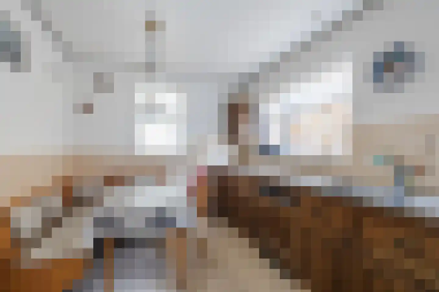 Bentinckslaan 81 Hoogeveen thumbnail 12