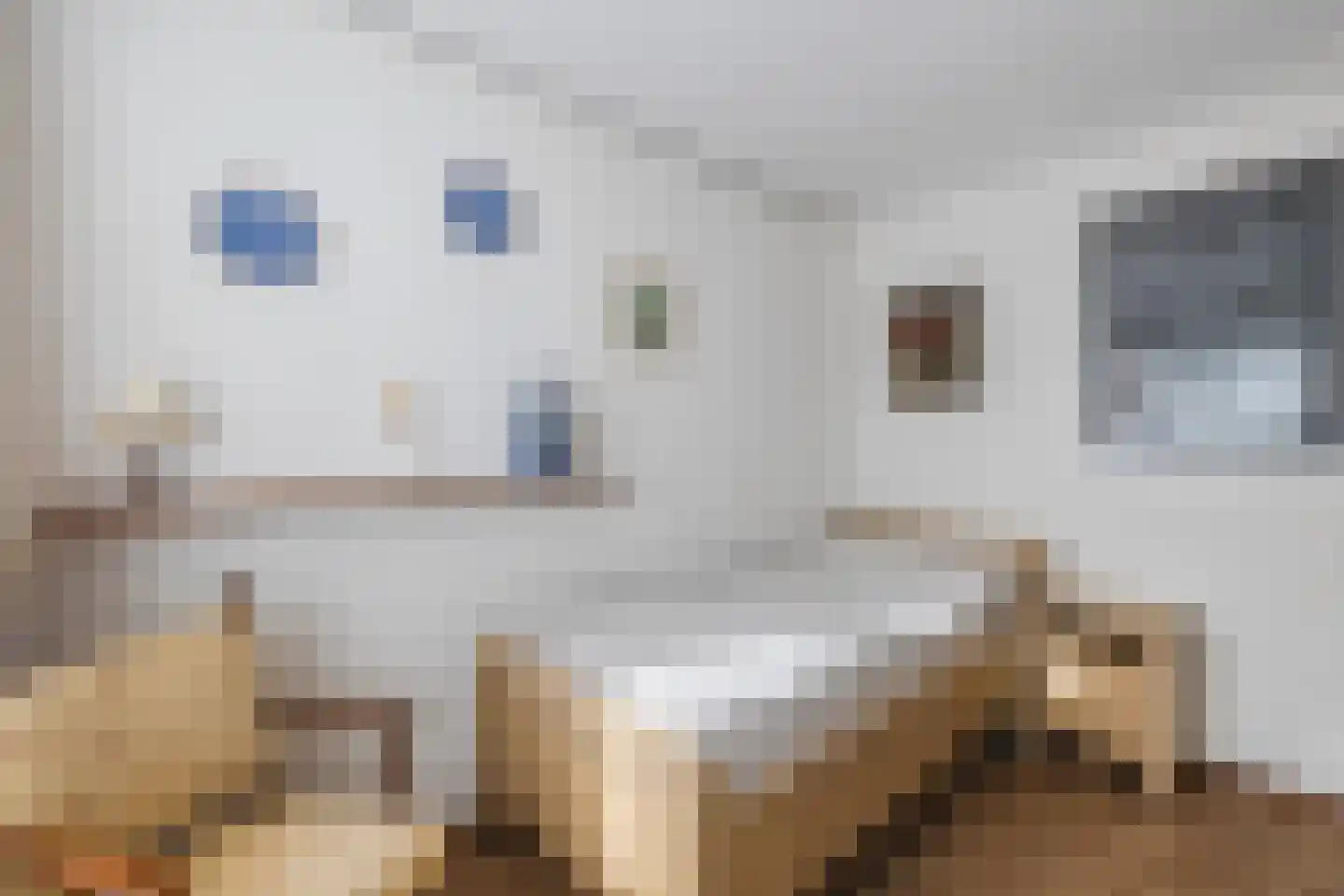 Bentinckslaan 81 Hoogeveen thumbnail 20