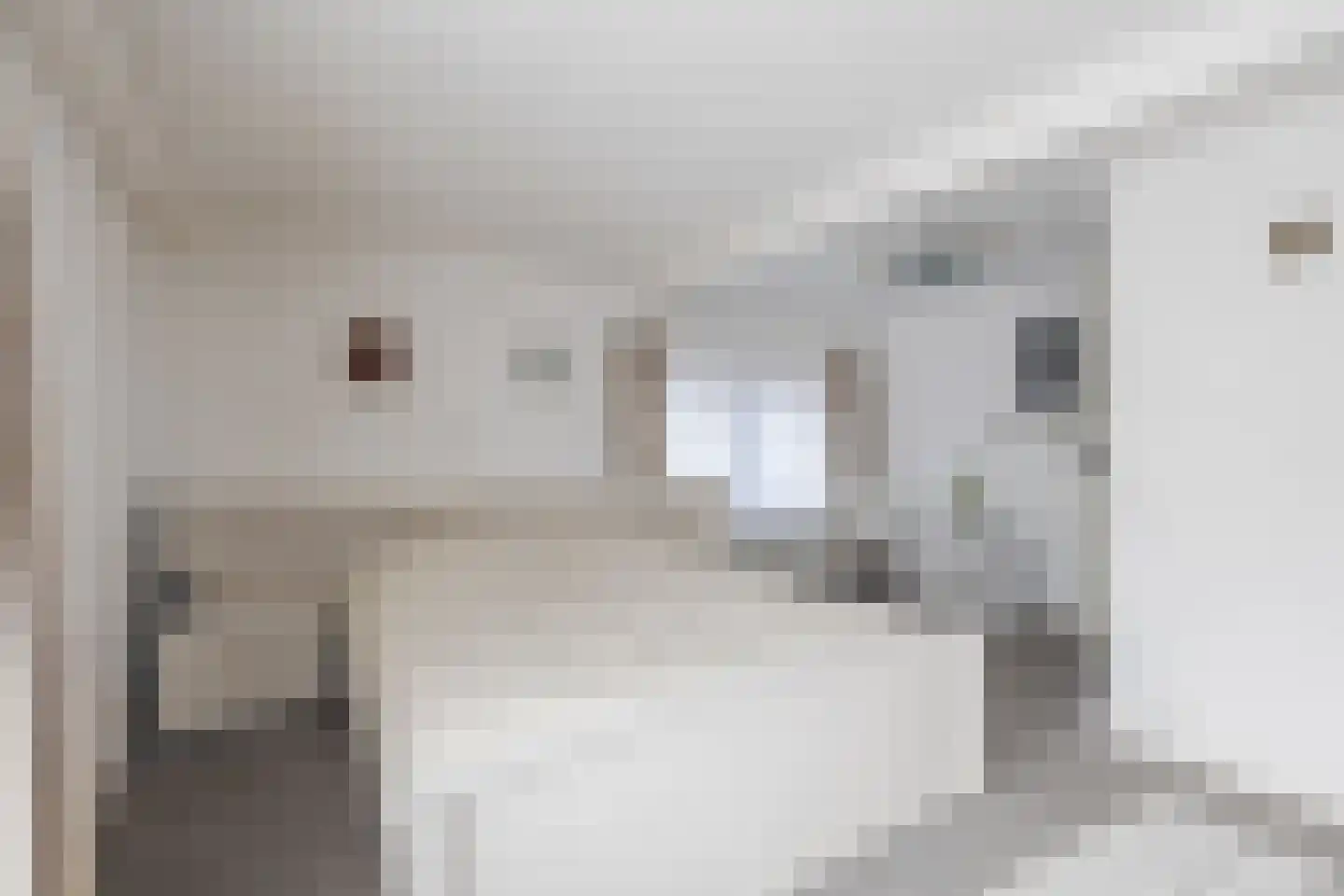 Bentinckslaan 81 Hoogeveen thumbnail 30