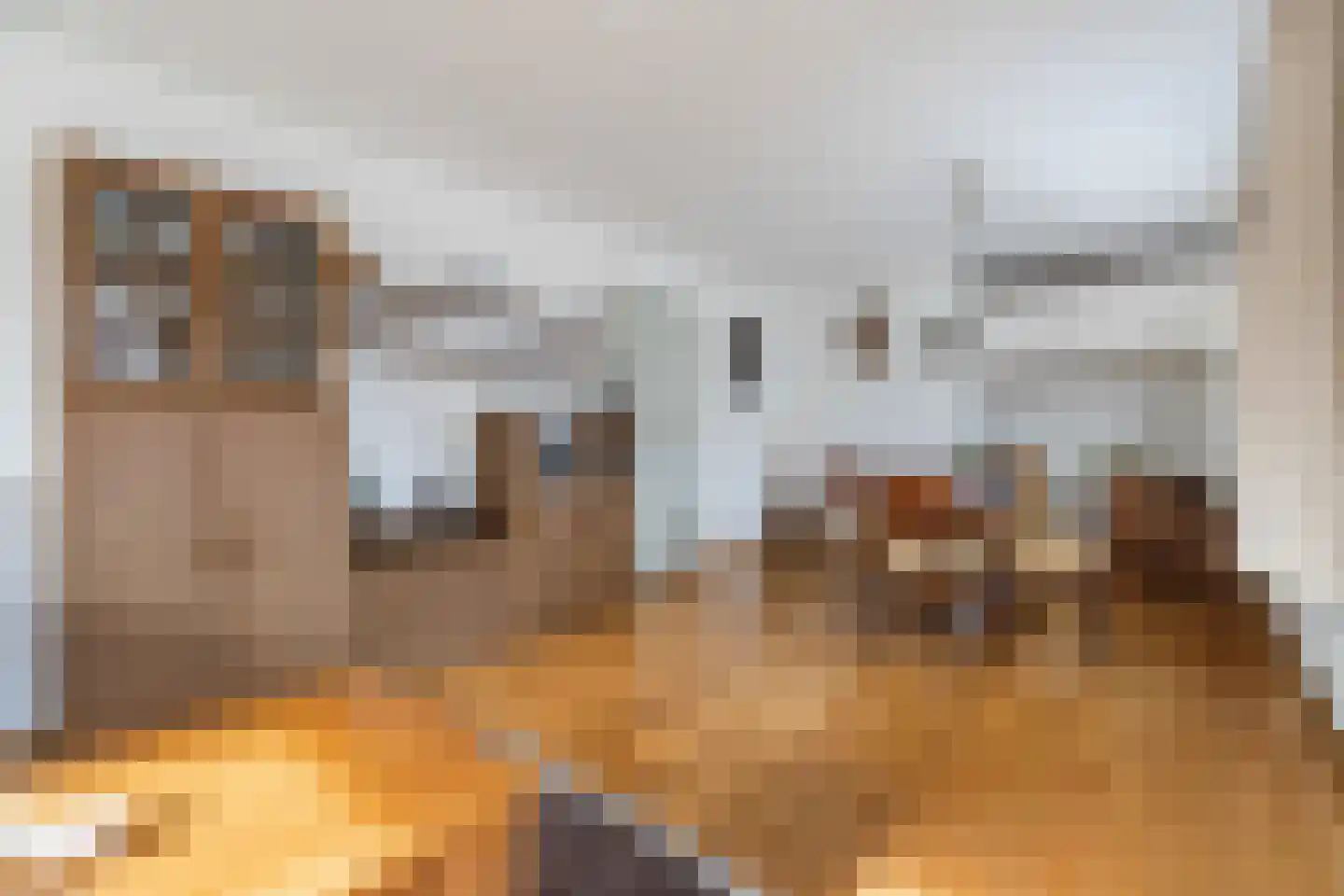 Bentinckslaan 81 Hoogeveen thumbnail 9