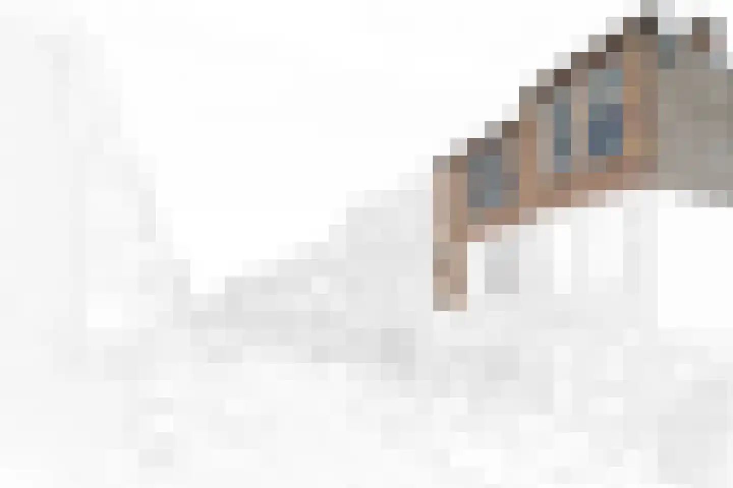 Bentinckstraat 13 Den Haag thumbnail 6