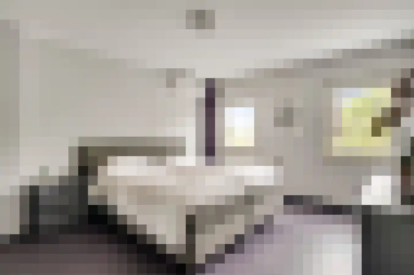 Bentinckstraat 13 Limbricht thumbnail 11