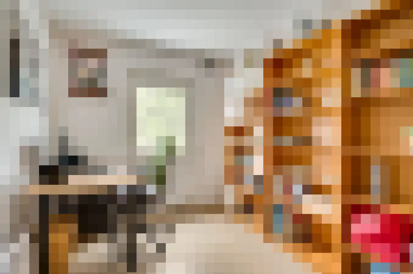 Bentinckstraat 13 Limbricht thumbnail 13