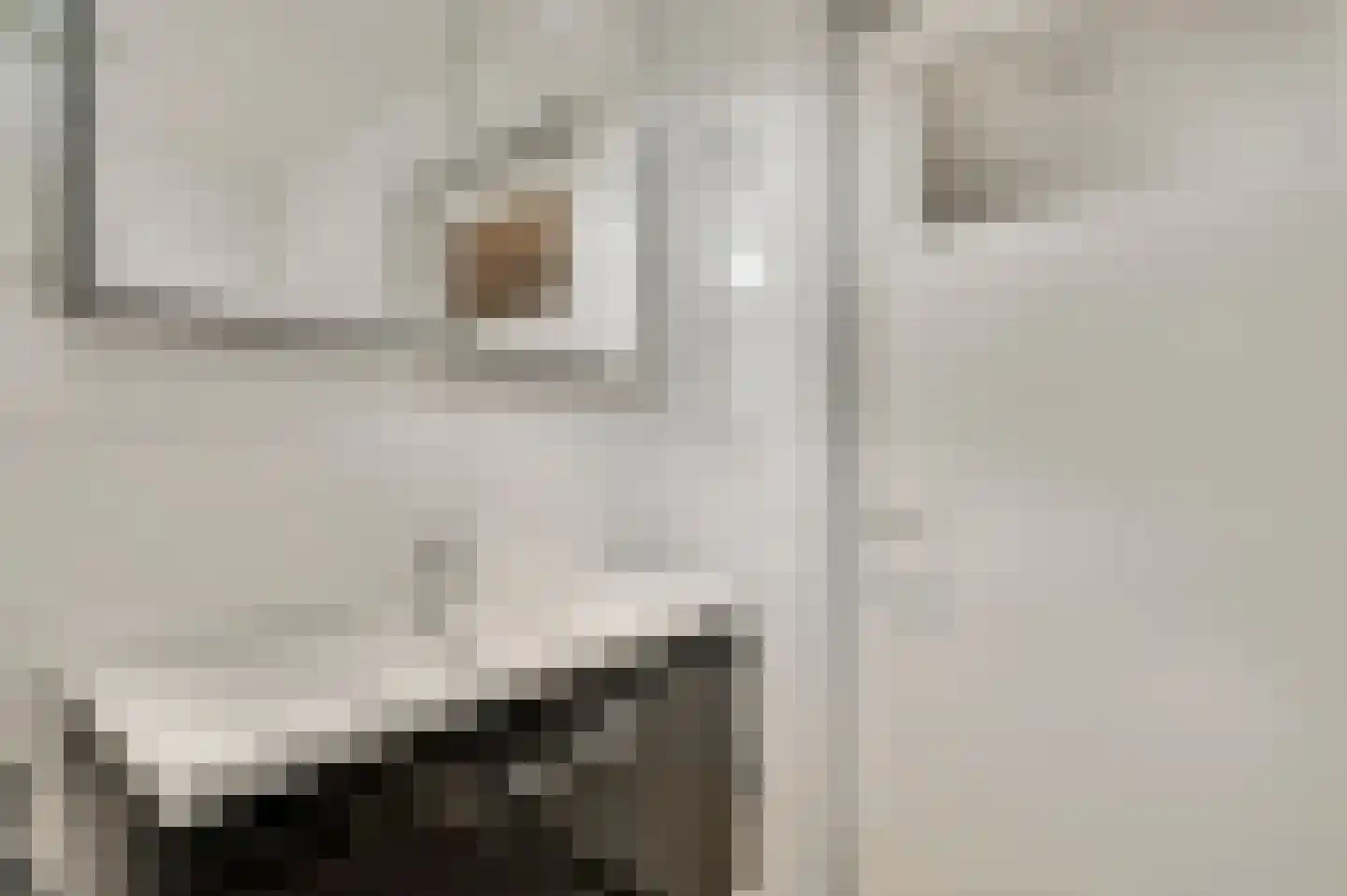 Bentinckstraat 13 Limbricht thumbnail 15