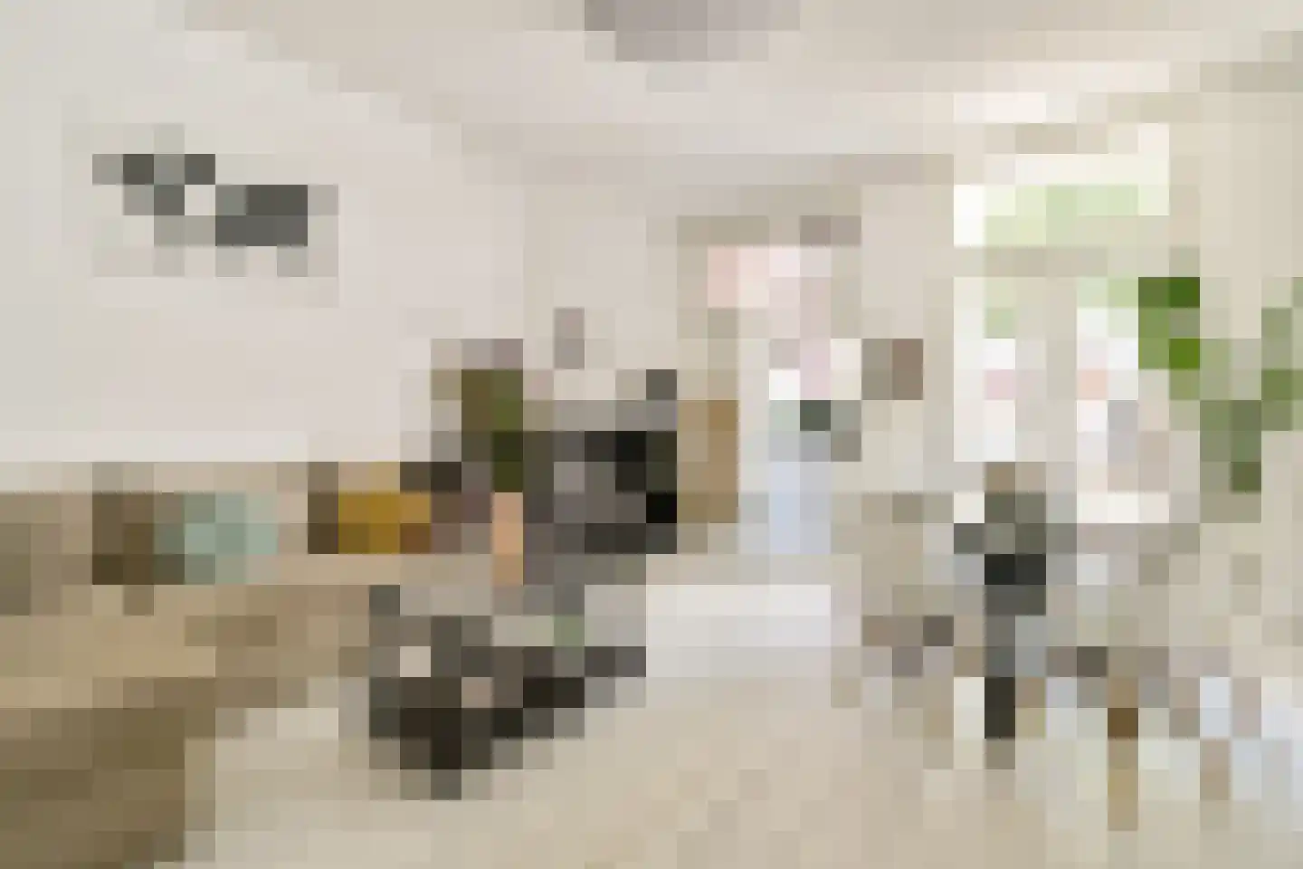 Bentinckstraat 14 2 Amsterdam thumbnail 6