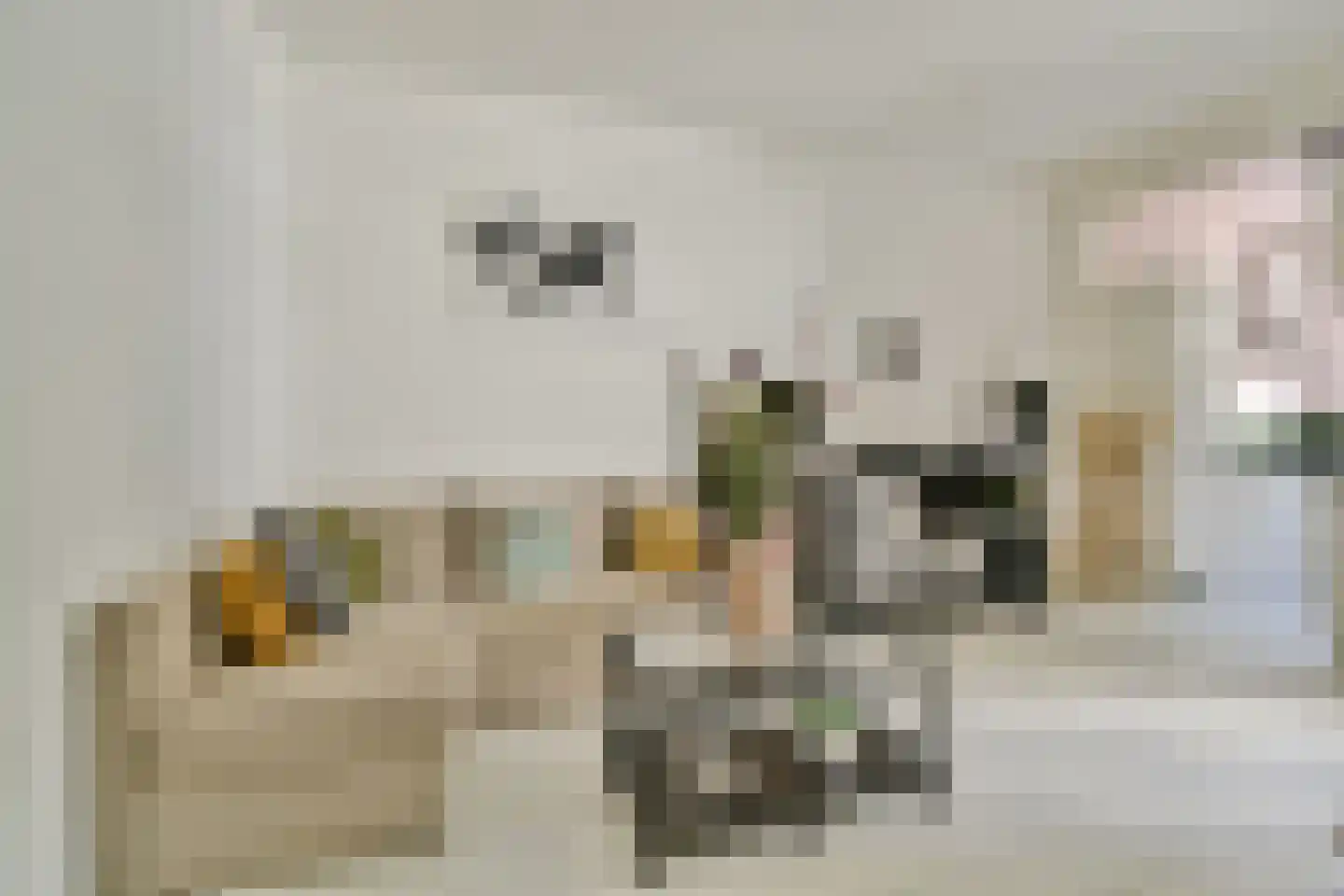 Bentinckstraat 14 2 Amsterdam thumbnail 9