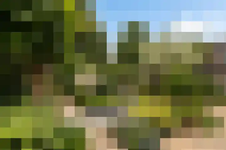 Bentinckstraat 14 Putten thumbnail 38