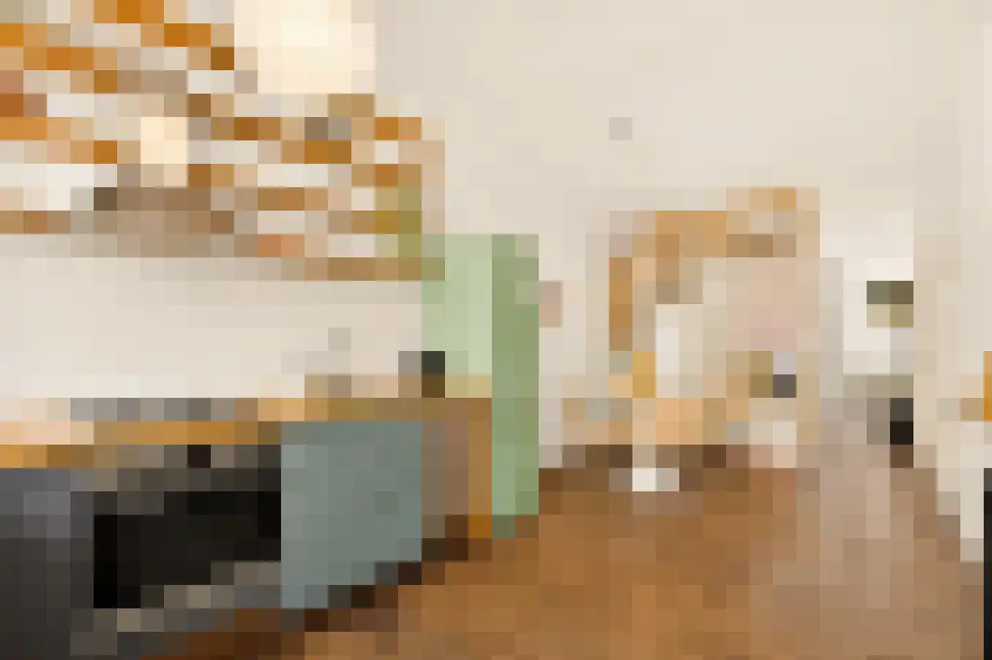 Bentinckstraat 15 3 Amsterdam thumbnail 14