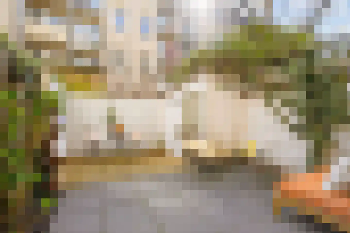 Bentinckstraat 15 3 Amsterdam thumbnail 25
