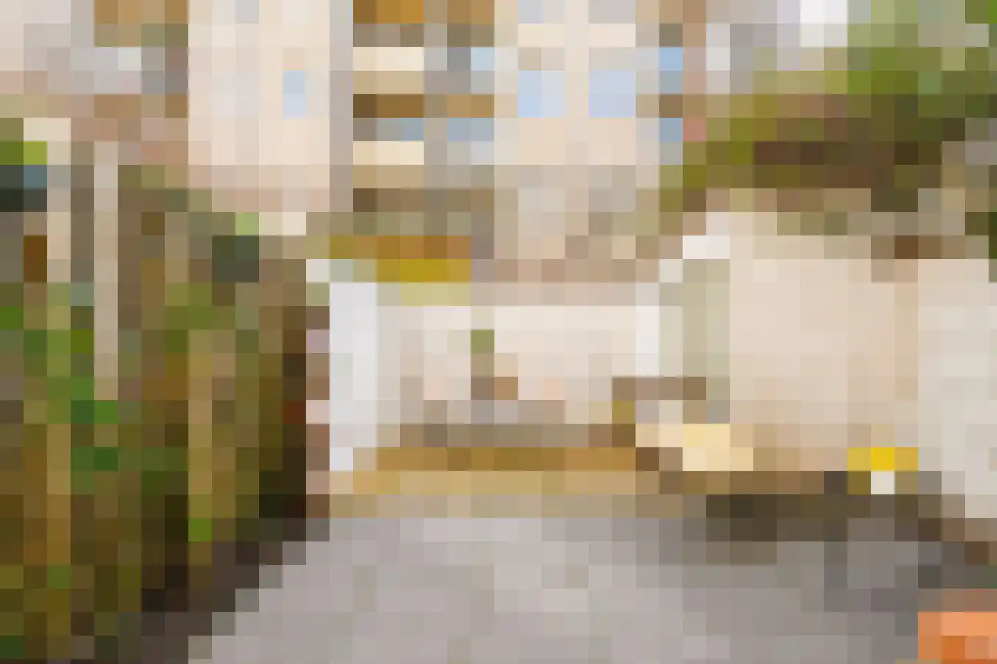 Bentinckstraat 15 3 Amsterdam thumbnail 26