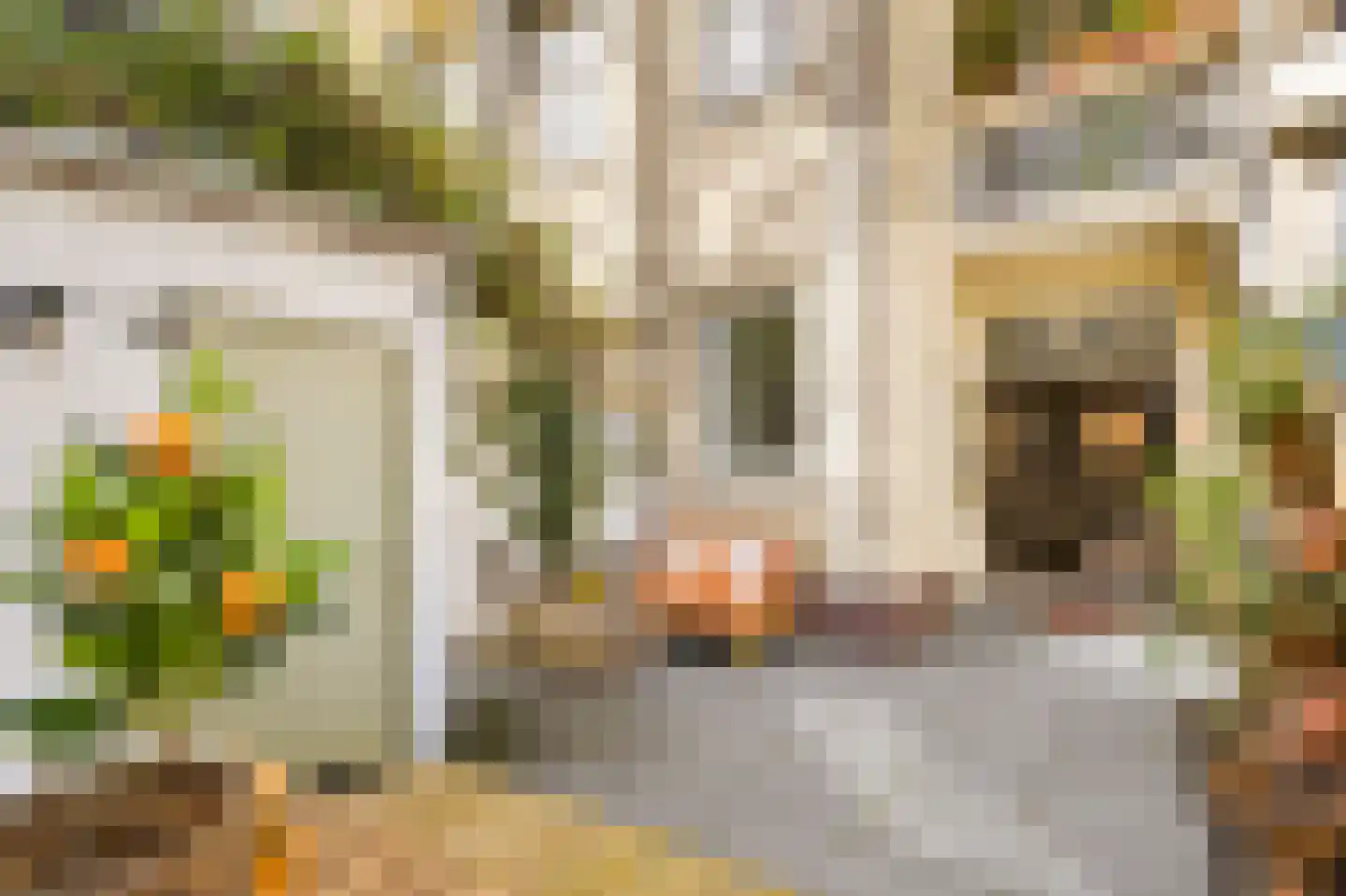 Bentinckstraat 15 3 Amsterdam thumbnail 28