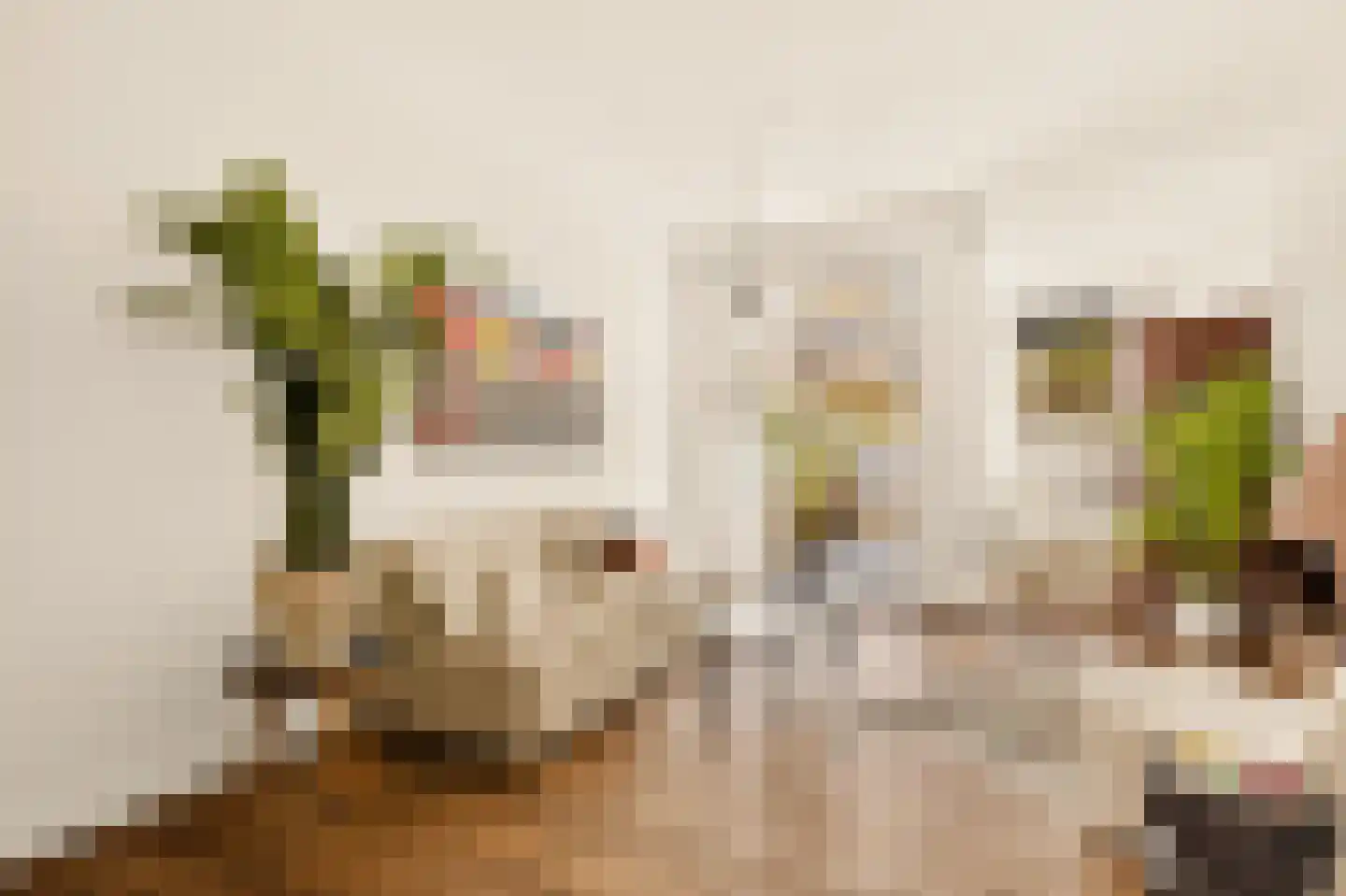 Bentinckstraat 15 3 Amsterdam thumbnail 4