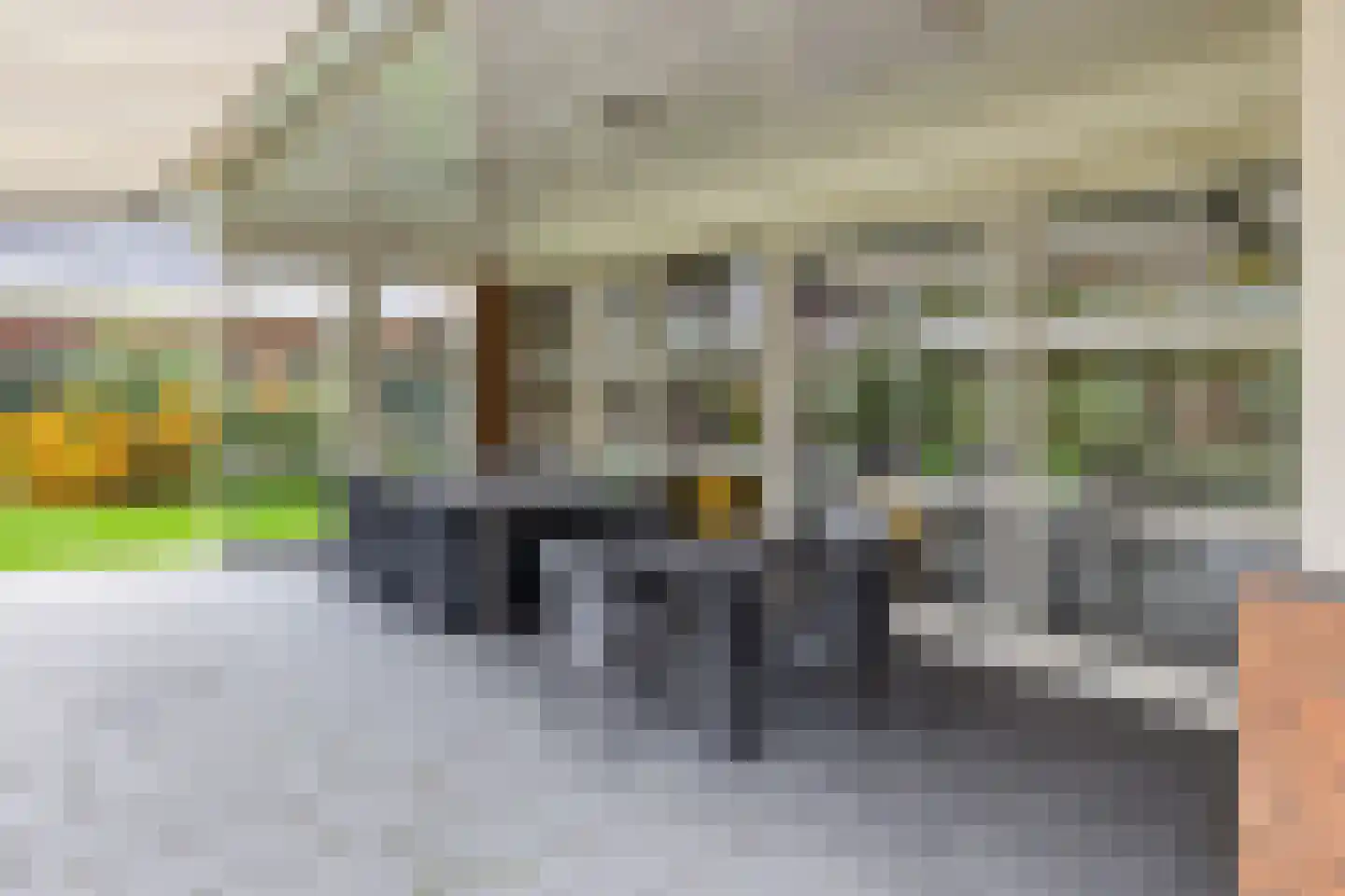 Bentinckstraat 17 Raalte thumbnail 69