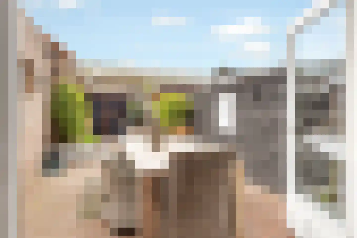 Bentinckstraat 18 Nijkerk thumbnail 31