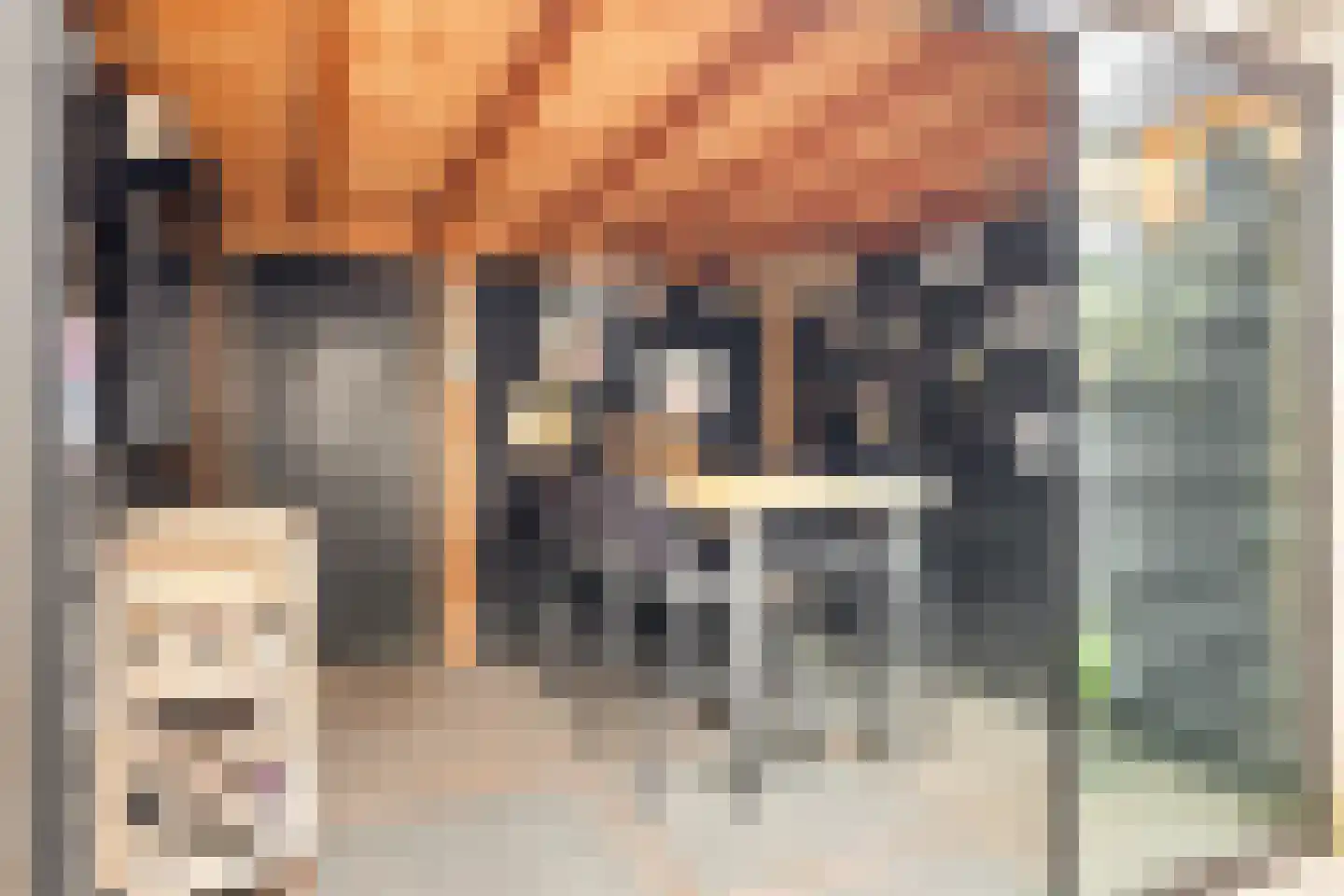 Bentinckstraat 18 Nijkerk thumbnail 36