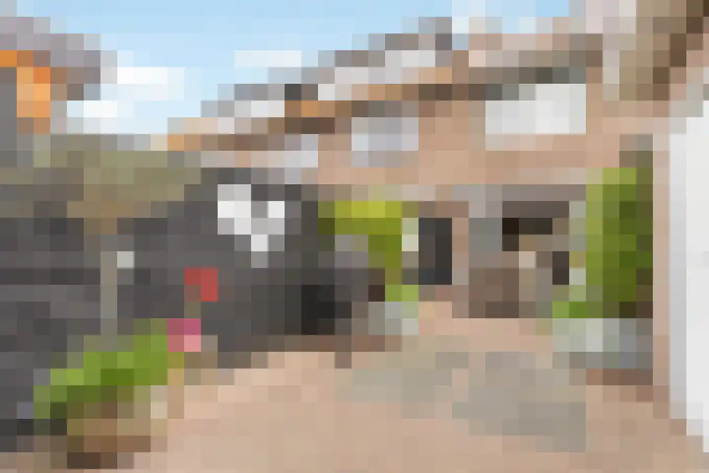 Bentinckstraat 18 Nijkerk thumbnail 37