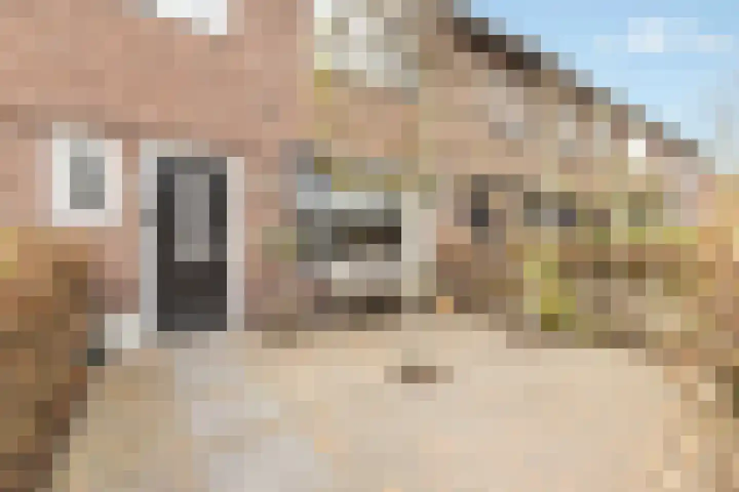 Bentinckstraat 18 Nijkerk thumbnail 6
