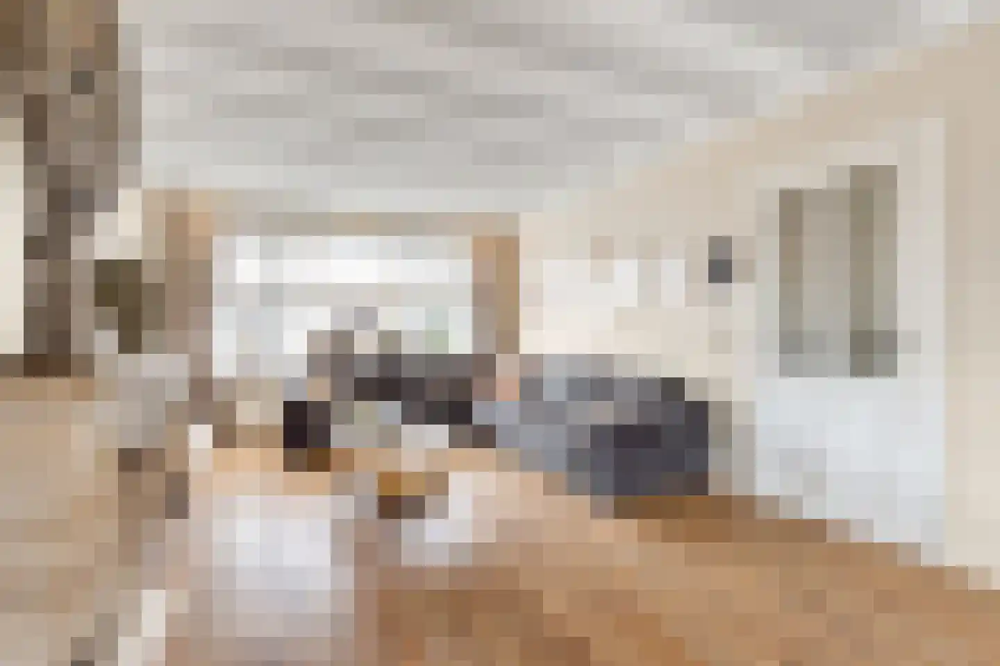 Bentinckstraat 18 Nijkerk thumbnail 7
