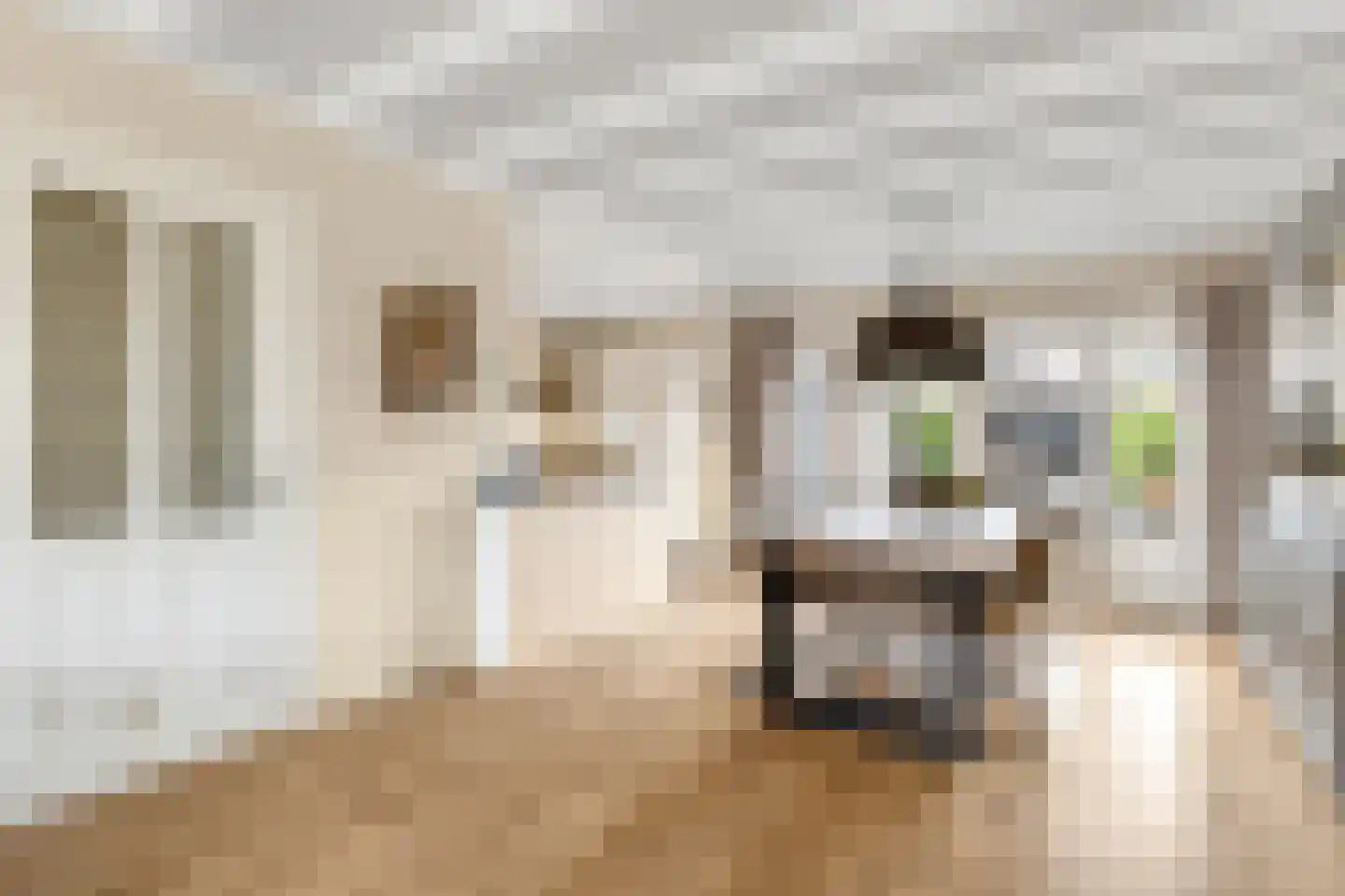 Bentinckstraat 18 Nijkerk thumbnail 8