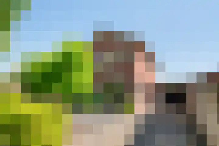 Bentinckstraat 20 Lichtenvoorde thumbnail 6