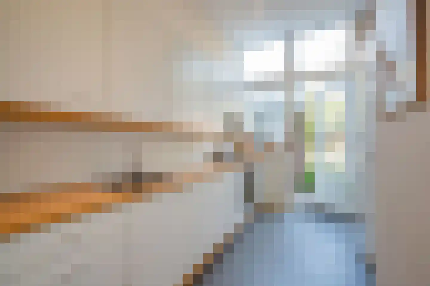 Bentinckstraat 23 Den Haag thumbnail 19