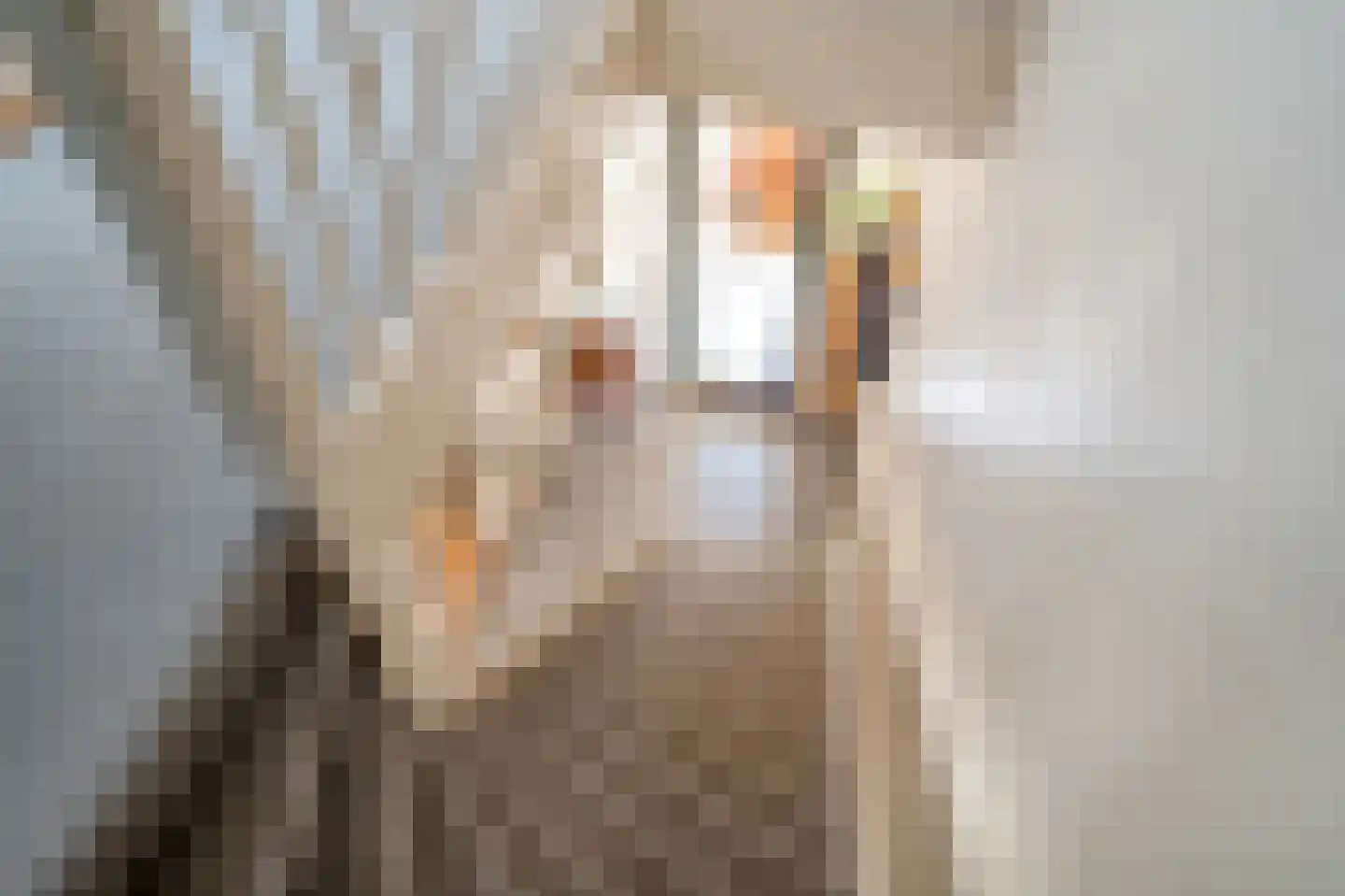 Bentinckstraat 23 Den Haag thumbnail 23