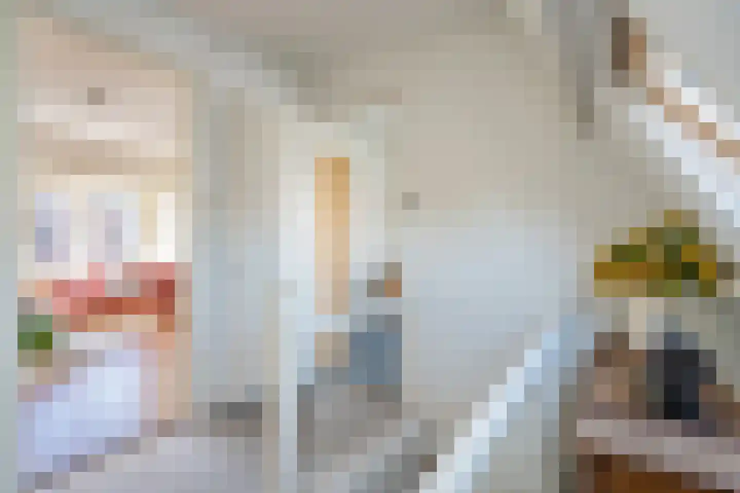 Bentinckstraat 23 Den Haag thumbnail 35