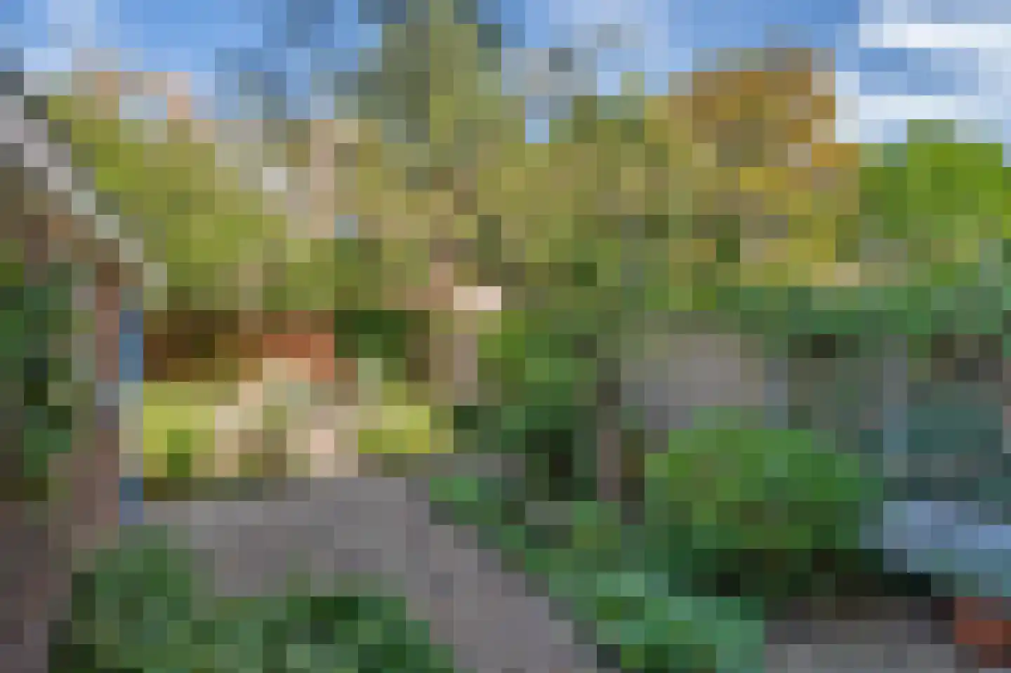 Bentinckstraat 23 Den Haag thumbnail 5